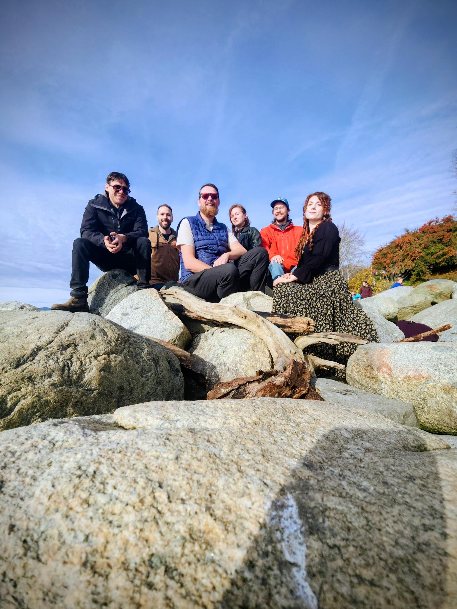 The Hounds of Cuchulain