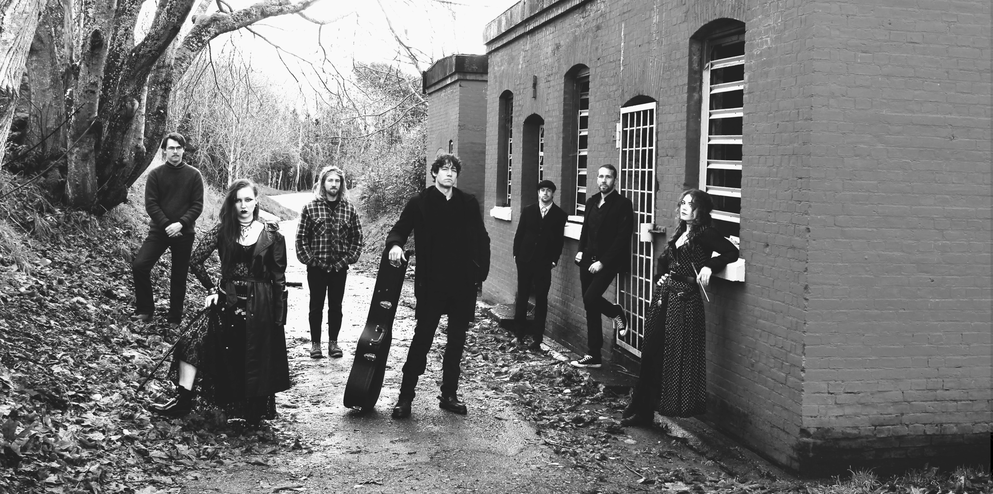 The Hounds of Cuchulain