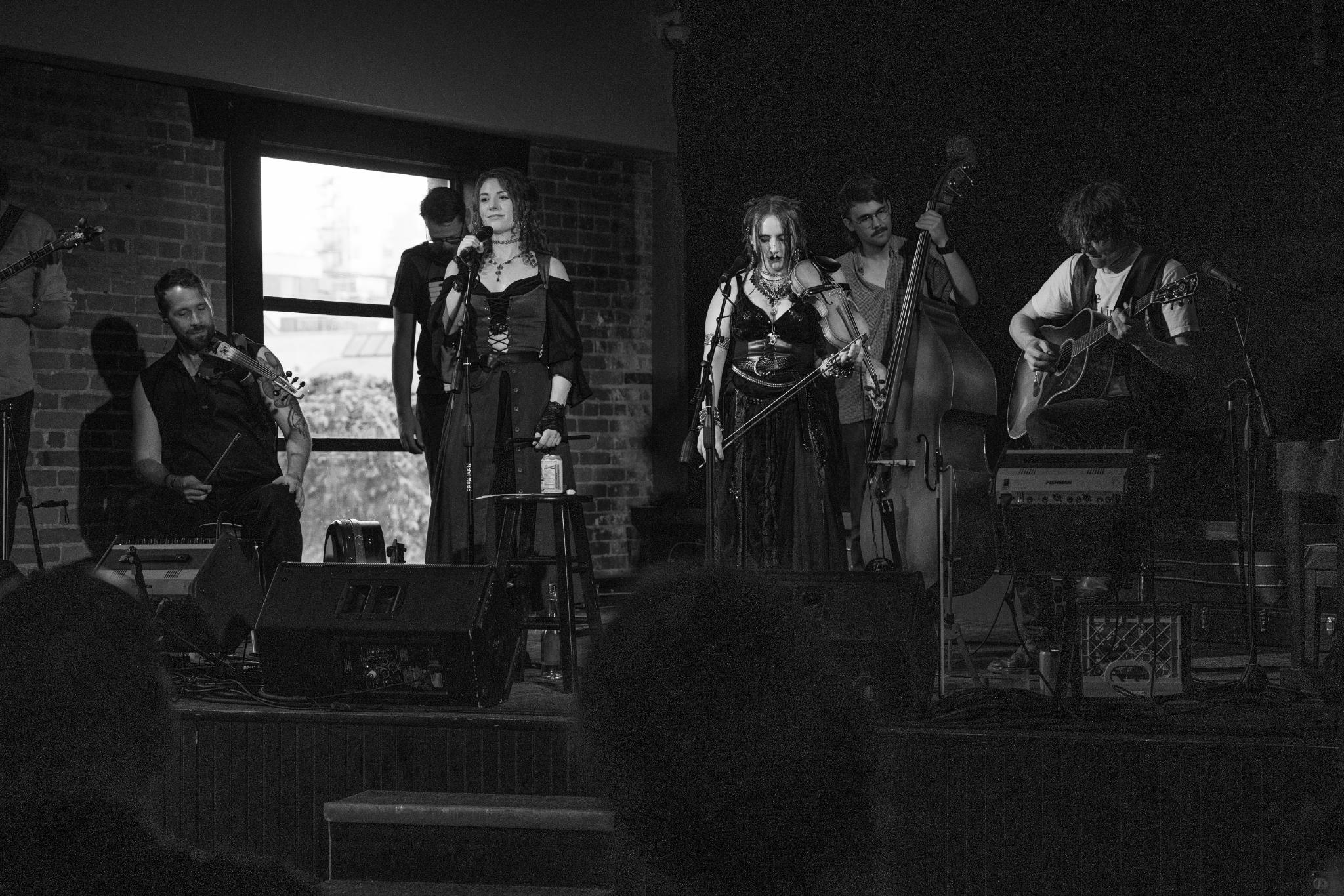 The Hounds of Cuchulain live